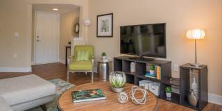 The Encore Gallery 14