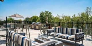 The Westlyn Gallery 27