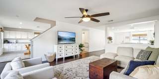 39 Longleaf Coral Gallery 10