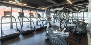 Arrive Lex Gallery 15