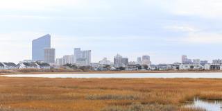 12 Gull Cv Gallery 47