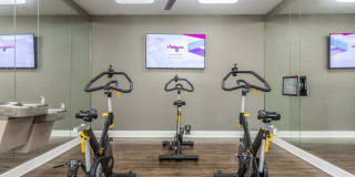 Art Avenue Gallery 26