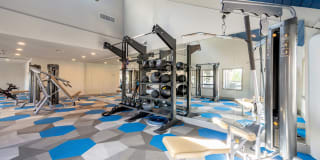 Avana Cordoba Gallery 21