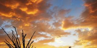 14837 N El Sobrante Avenue Gallery 37