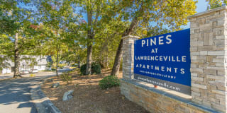 Pines at Lawrenceville Gallery 35