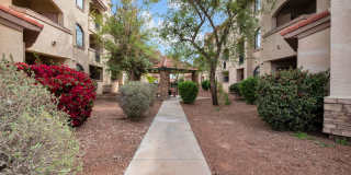 Desert Jewel Gallery 44