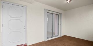 3438 Theo Way Gallery 6