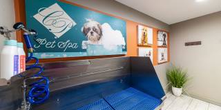 Copper Pointe Gallery 42