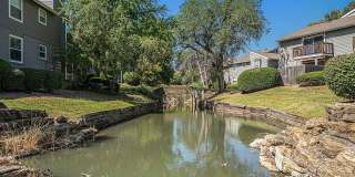 Corinth Paddock Gallery 32