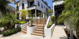 Vista Paradiso Gallery 3