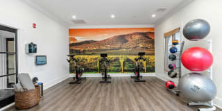 Sonoma Hill Gallery 21