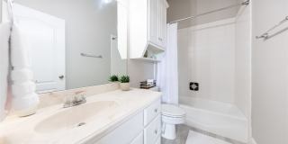 801 Dickerson Circle Gallery 13