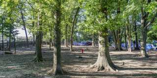 Bent Tree Gallery 20