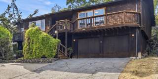 Gorgeous home with spacious yard in Kentfield for rent! Gallery 1