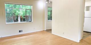 Home in South Boulder for Fall Pre-Lease! Gallery 4