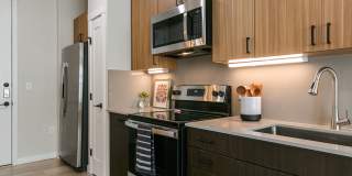 Olympus Latitude Gallery 2