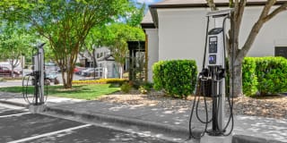 The Murray Gallery 17