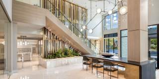 Broadstone Vega Gallery 1