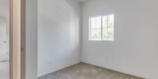 Chelsey Lane Gallery 13