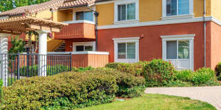 Peppertree Apartments Gallery 36