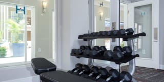 Vanguard Heights Gallery 25