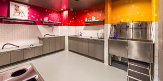 The George Gallery 32