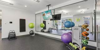 The Lotus at Starkey Ranch Gallery 36