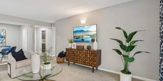 Vetra 5480 Gallery 3