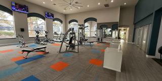 Arium Meadows Gallery 14