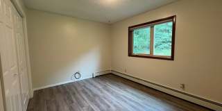 Dog friendly, 3 bedroom home in the hills Gallery 16