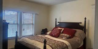 25 Martha Terrace Gallery 3