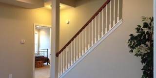 3204 Sweet Clover Lane Gallery 6
