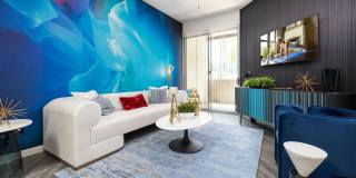 The Access Gallery 7