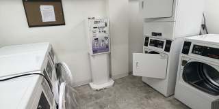 115 Short Beach Road Gallery 16
