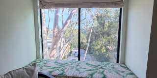 Hollywood Luxury 2 Bed Condo! Gallery 45