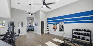 The Ava and Aria Gallery 18