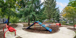 Trillium Heights Gallery 26