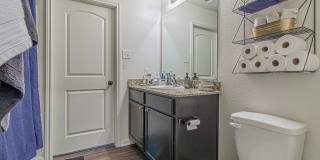 2831 Lavender Gallery 15