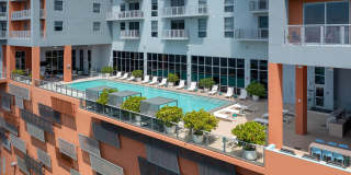 Motion at Dadeland Gallery 3