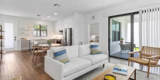 Odyssey Gallery 8