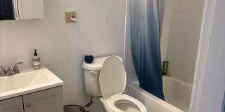 GIANT 3 Bed Available 9/1/26 Gallery 8