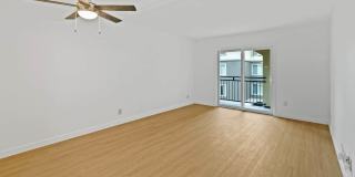 Northpark Gallery 42