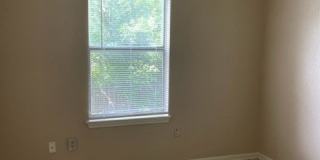 213 Blanket Drive Gallery 10