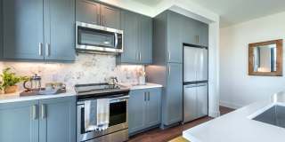 Aster Aster Gallery 21