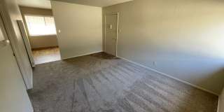 Camellia Manor Apartments Gallery 3