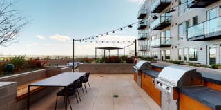 Cirrus Gallery 40