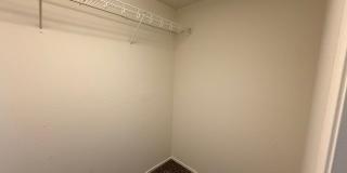 3208 BRAYTON MIST Drive Gallery 79