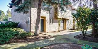 Spacious and immaculate townhomes! Gallery 19