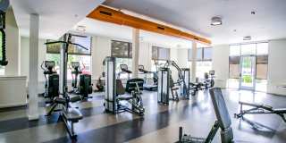 The Arbory Gallery 7