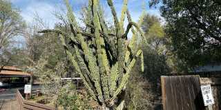 Hillgrove Creek Gallery 17